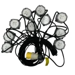 110V Festoon Lighting Kit 16amp 50w LED Lights IP64 - (10932)